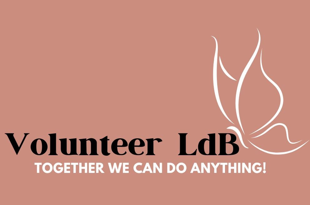 A picture of Volunteer LdB's logo which has a light pink background with the words 'Volunteer LdB' and underneath it says 'Together We Can Do Anything.' There is a white butterfly over the words.