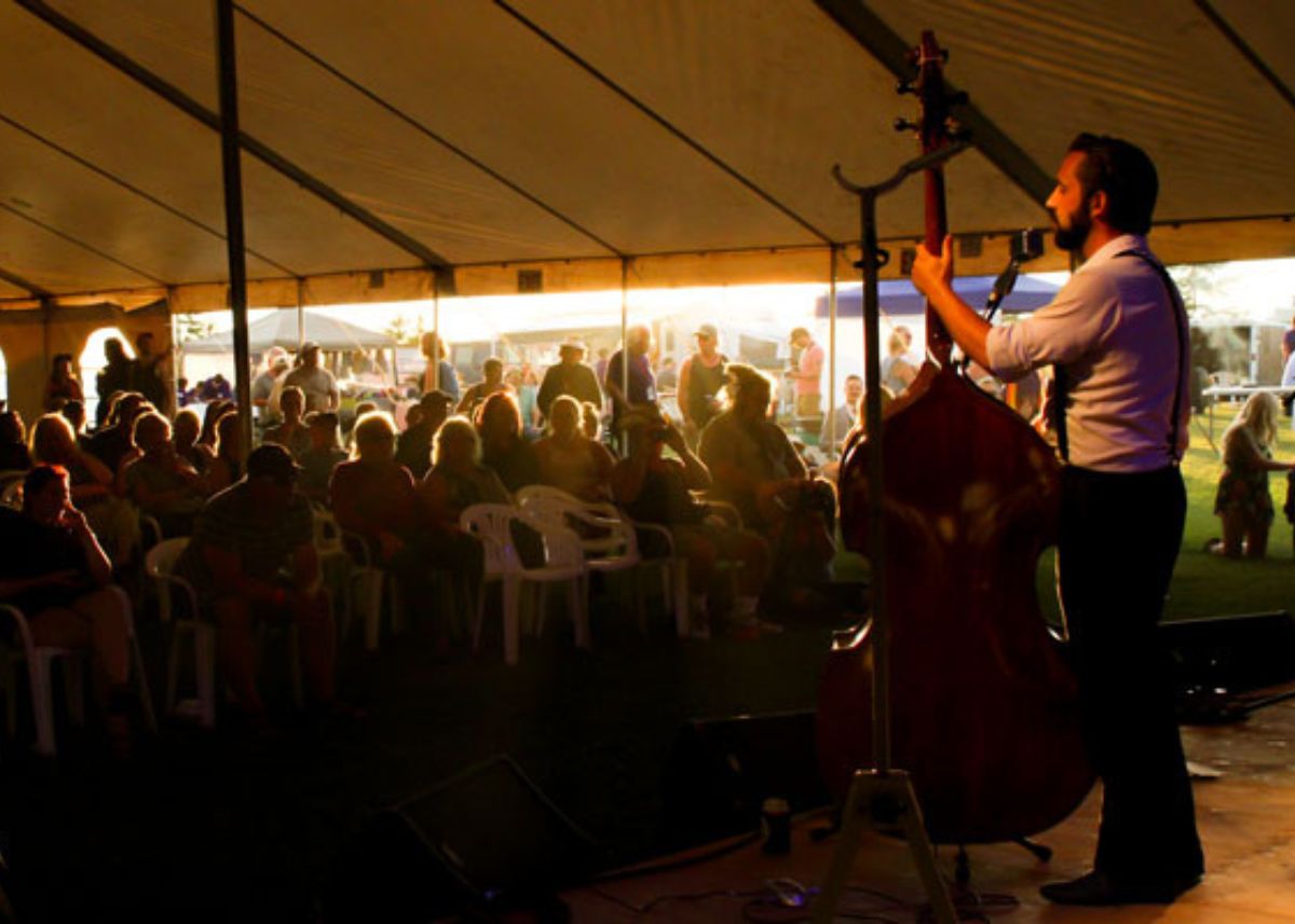 Musician performing in front of a crowd at fire and water music festival