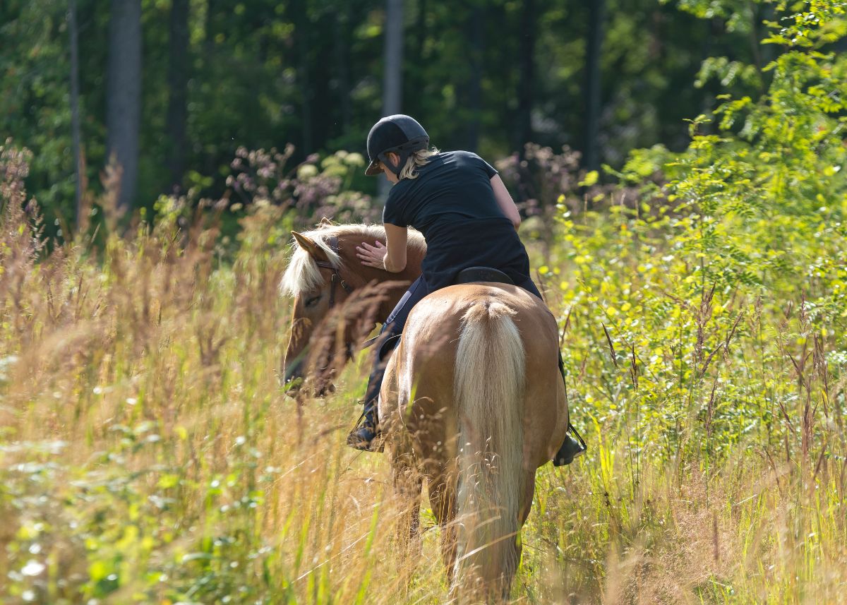 Woman riding a horse through an overgrown field.
