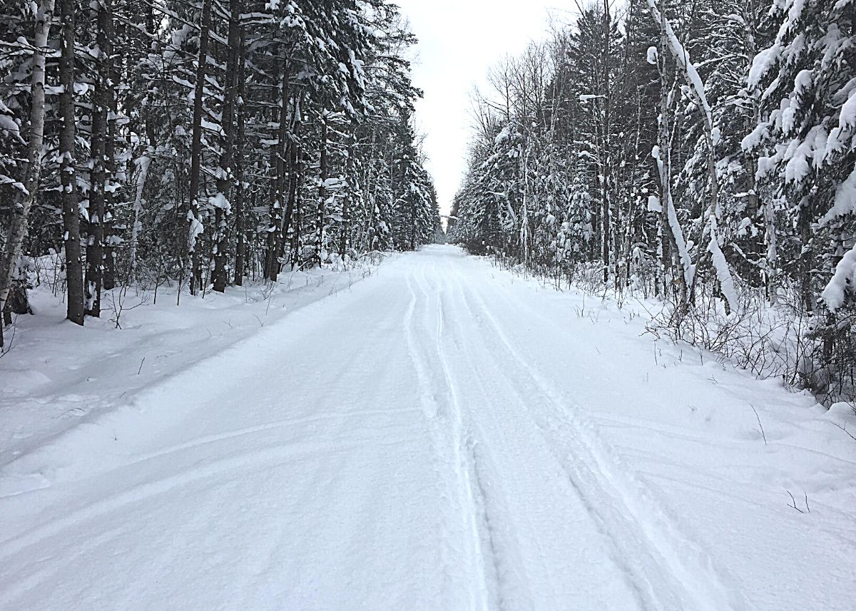 Groomed snowmobile trail through the boreal forest in Lac du Bonnet